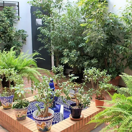 Triana Betis Appartement Sevilla Buitenkant foto